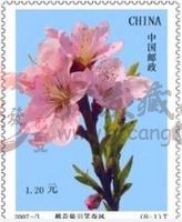 小型張郵票的市價(jià)分析