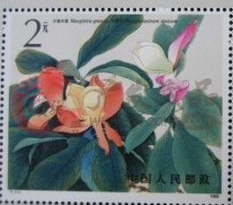 收藏T111M木兰科植物小型张不仅能赚钱关键是一种兴趣