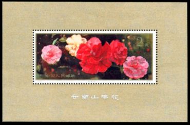 投资T37M云南山茶花小型张切勿错过