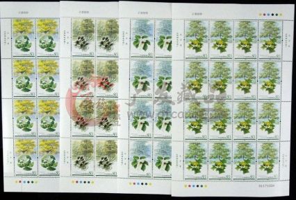 2006-5孑遺植物大版藏品介紹