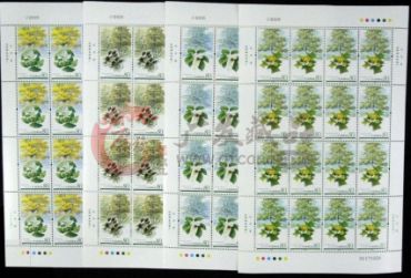 2006-5孑遗植物大版藏品介绍