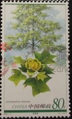 2006-5孑遺植物大版藏品介紹