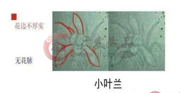 不想你再错过，2017年这些人民币最具收藏价值