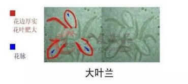 不想你再错过，2017年这些人民币最具收藏价值