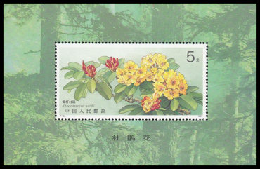 T162 杜鹃花（小型张）邮票